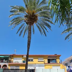 Babylon Tourist , Benalmádena España